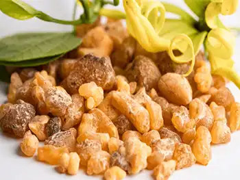 How Boswellia Serrata Extract Fights Inflammation？